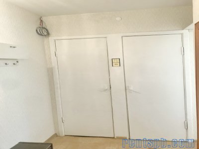 Сдаётся квартира у метро ул. Будапешская 38 к 4