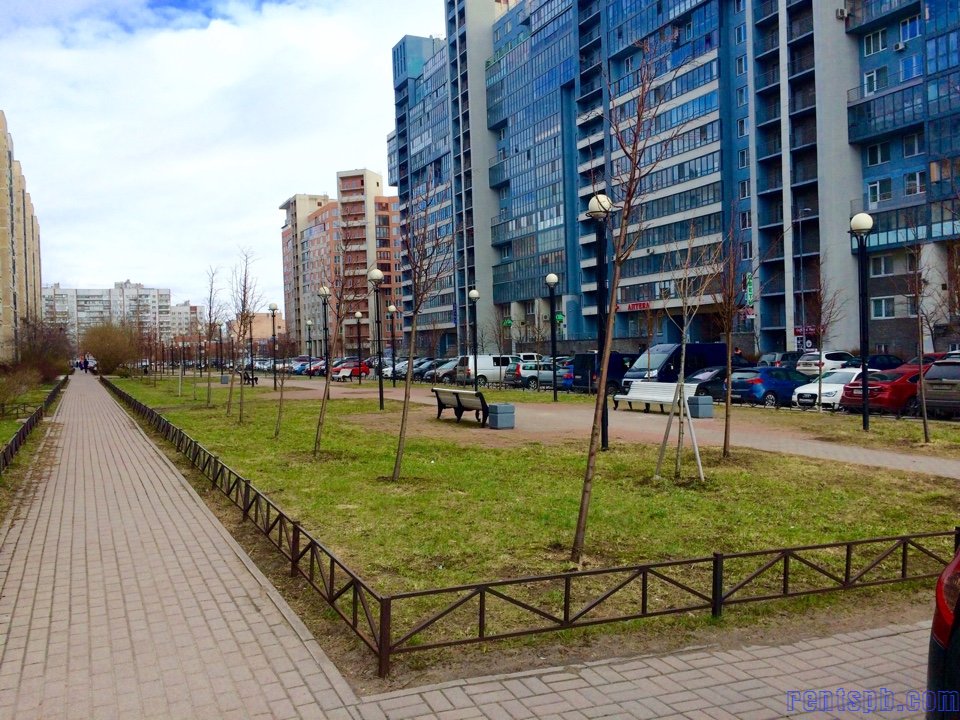Сдам квартиру недорого  у метро Приморская