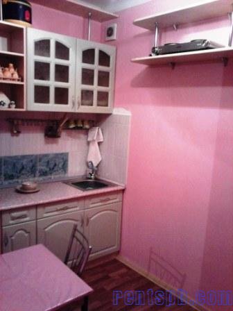 near metro Zvezdnaya  for 1-4 person - 25 -40 dollar/day