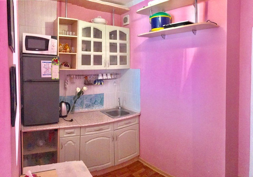 near metro Zvezdnaya  for 1-4 person - 25 -40 dollar/day