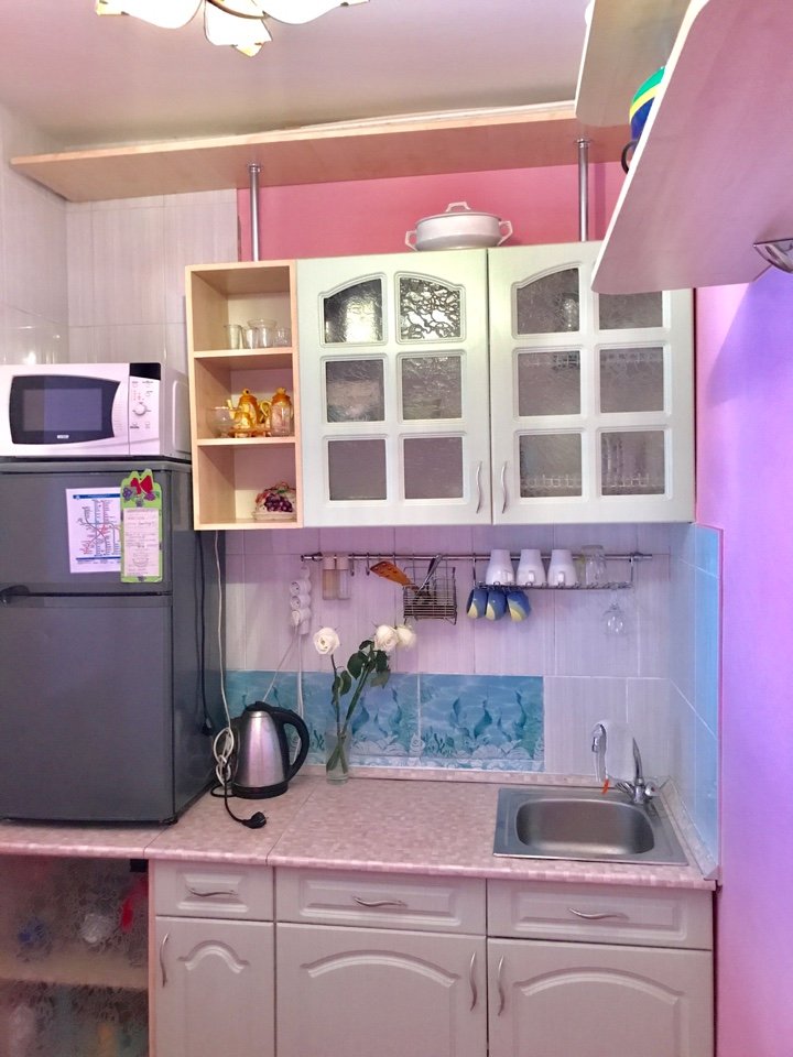 near metro Zvezdnaya  for 1-4 person - 25 -40 dollar/day