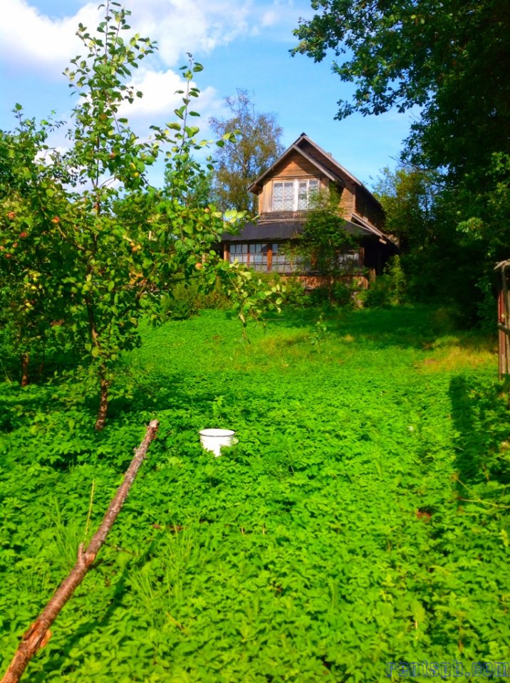 Продается участок 13.6 с, Вырица, Новосиверская,  Огородная 10