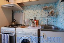 Квартира в остановке от Невского
