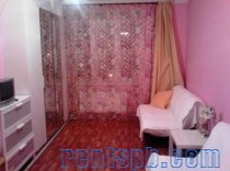 near metro Zvezdnaya  for 1-4 person - 25 -40 dollar/day