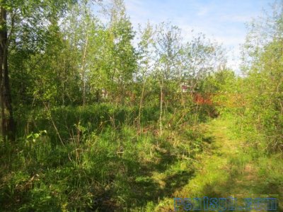 Продам участок  8 сот.  , земли сельхозназначения (СНТ, ДНП)  , Московское шоссе  , 98 км до города