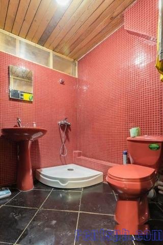 Сдам  дом  посуточно     
2-этажный дом 160 м²  ( бревно )  на участке 8 сот.  , Красносельское шоссе  , 10 км до города