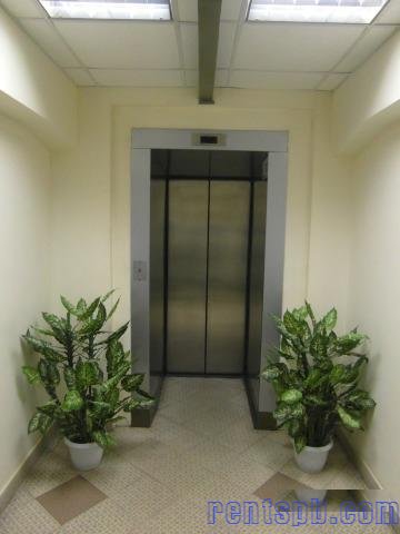 Офисное помещение, 43 м²