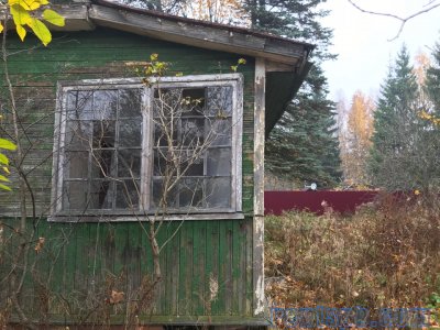 участок+сад/дом  во Всеволожске р-не, массив Ваганово, СНТ Ладога