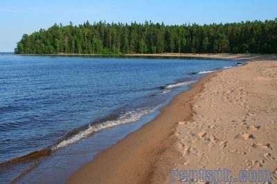 участок+сад/дом  во Всеволожске р-не, массив Ваганово, СНТ Ладога