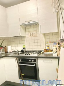 3 ком. пр Просвещения  ул. Луначарского 58 к 3
