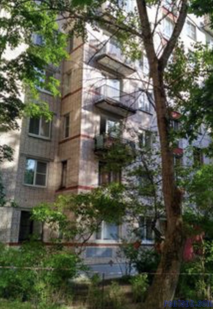 Сдам пр. Тореза 104 корпус 3 у парка Сосновка