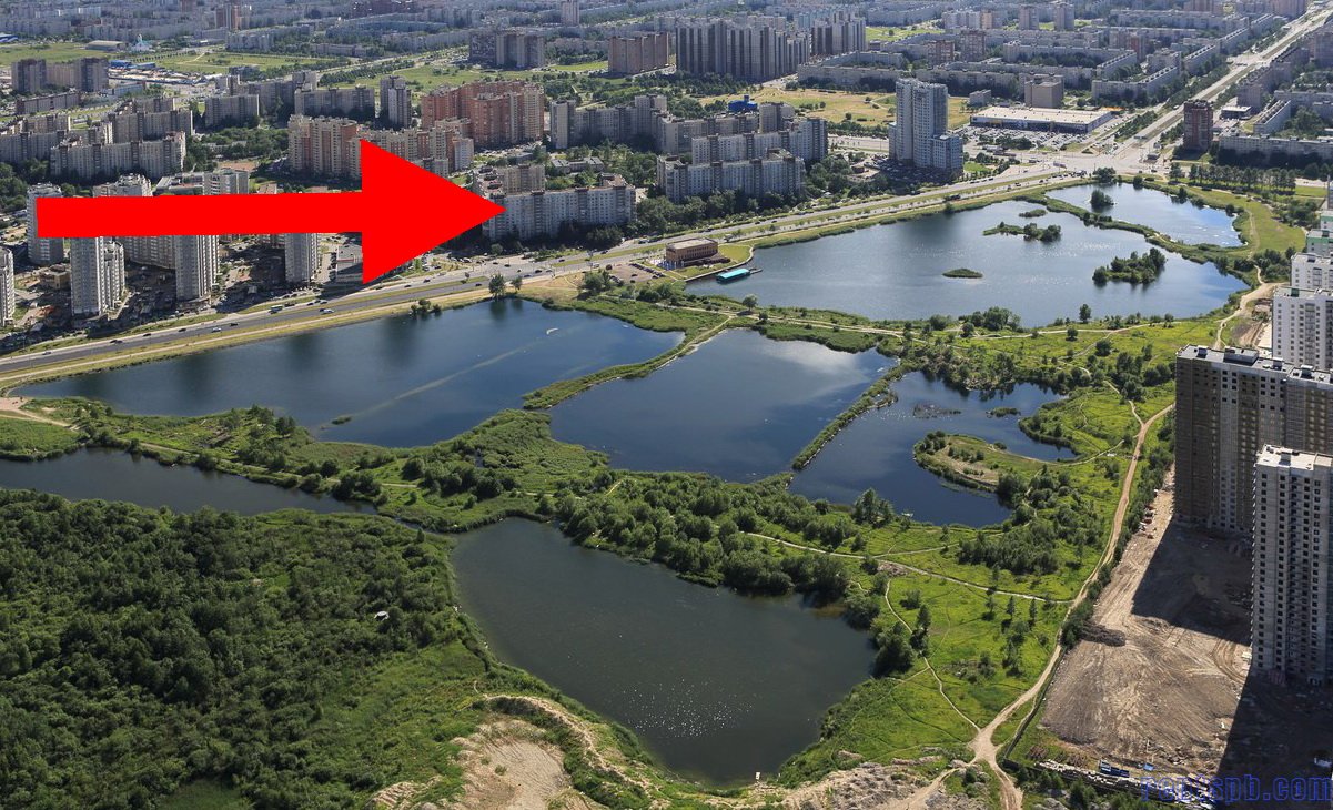 Сдается квартира  пара минут от парка ул. Димитрова 29 к 1