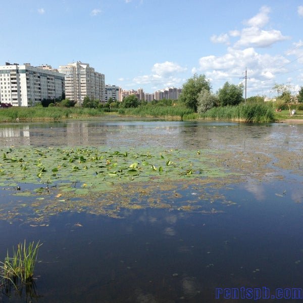 Уникальная   квартира у пруда