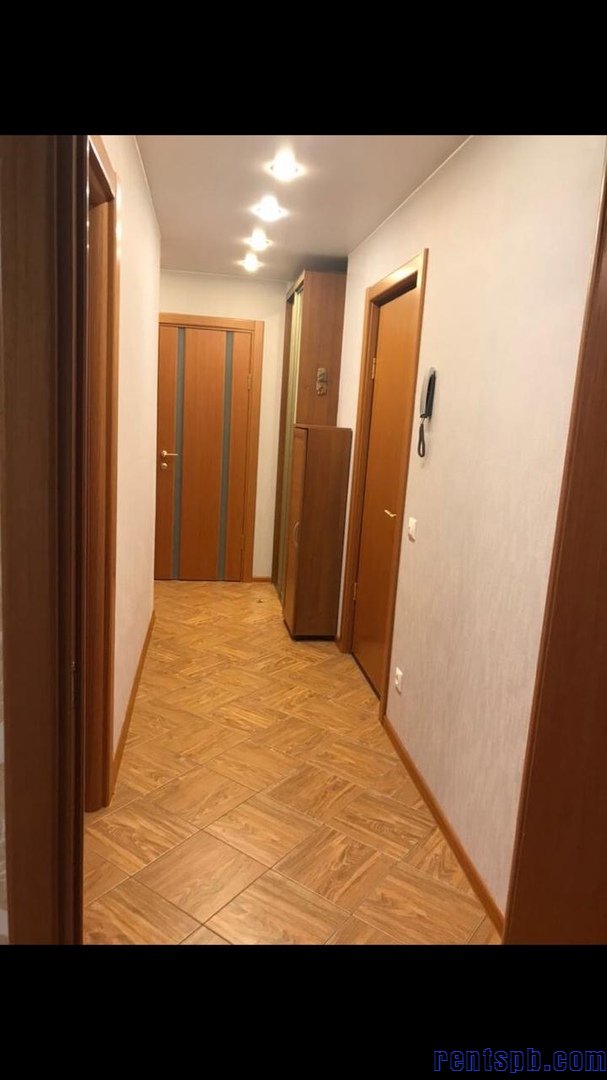 Сдаю квартиру видовую, расположена в парковой зоне.