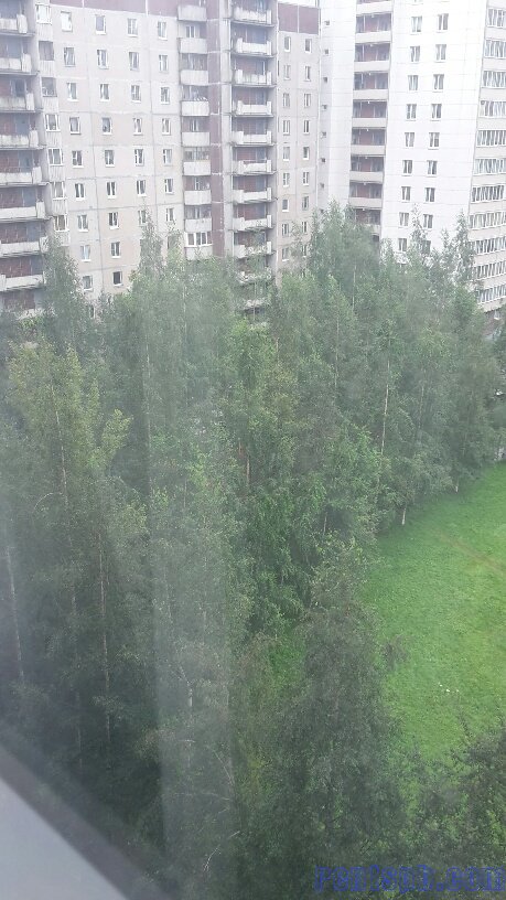 Сдам квартиру ул. Камышовая 32 корпус 1