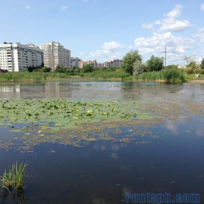 Уникальная   квартира у пруда