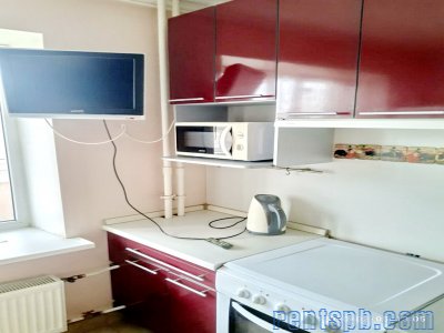 Уникальная   квартира у пруда