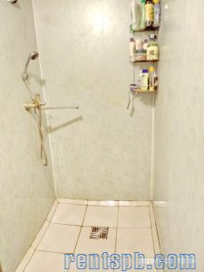 Аренда дома на лето или длительно Старая Росса