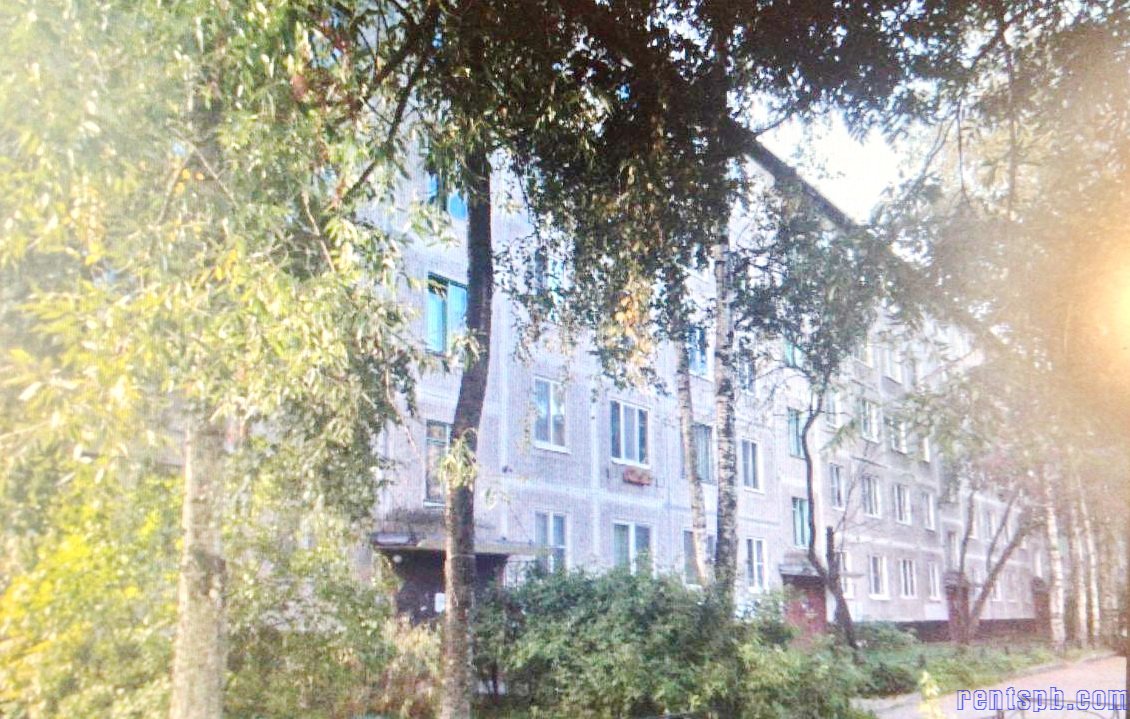 Комната  в аренду Дальневосточный проспект 68 корпус 1