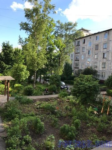 Сдам комнату у метро Ломоносовская  ул.  Седова 102
