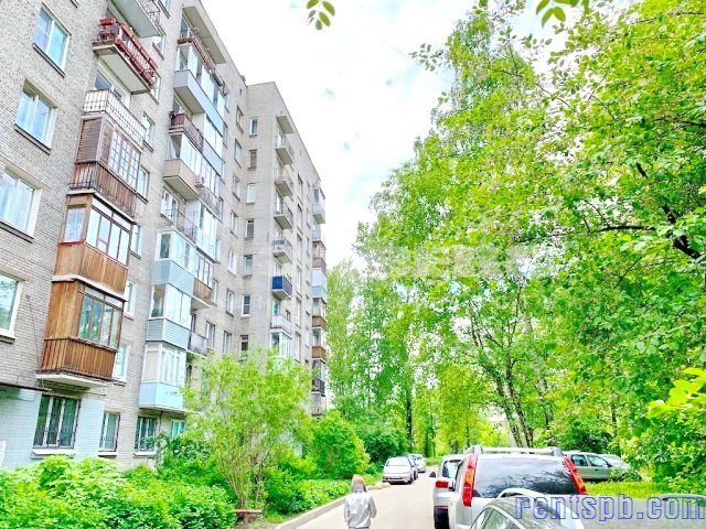 Сдам квартиру все новое Витебский проспект 55