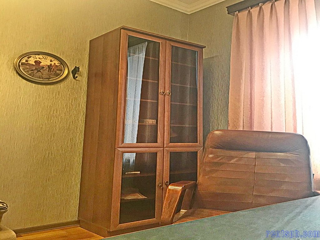 Отличная квартира Владимирский проспект 11