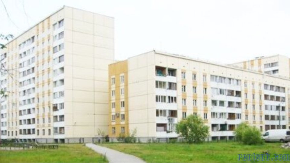 Сдам 3 ком.кв.пр. Ветеранов/ Лени Голикова 52.к 3