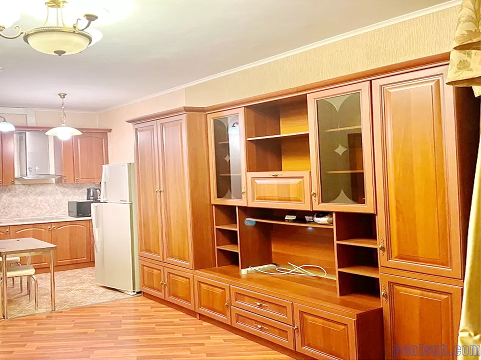 сдам ул. Купчинская дом  3 корпус 1 студия видовая