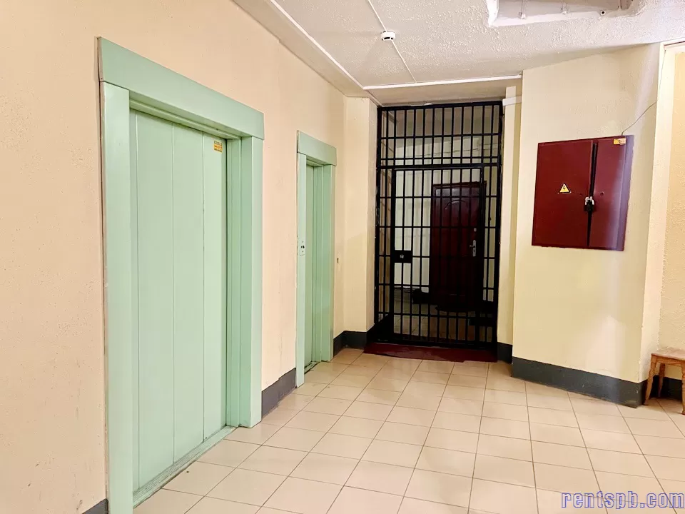 сдам ул. Купчинская дом  3 корпус 1 студия видовая