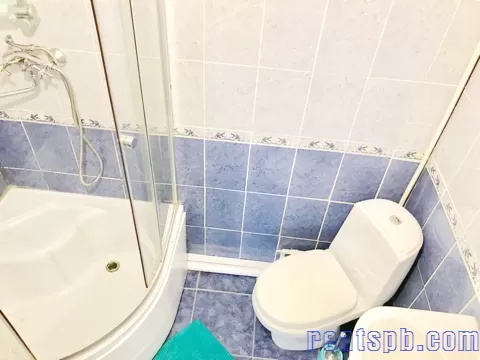 圣彼得堡短租，日租，日租公寓，出租屋，一居室，近地铁站 该市的主要火车站距离酒店有2站地铁路程。