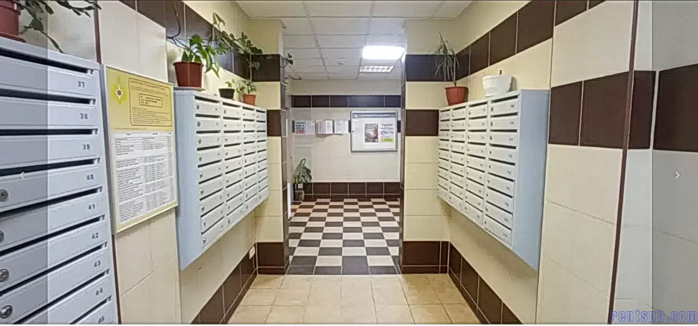 видовая квартира   в новом доме  у парка ул. Васенко 12