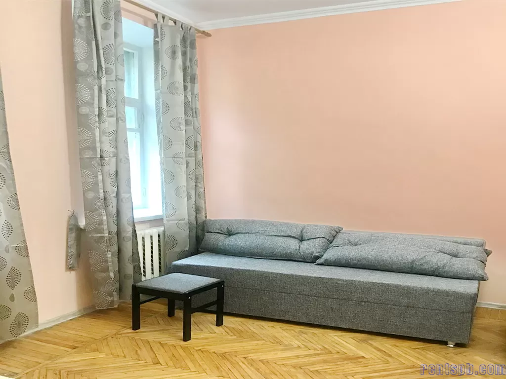 Apartment for rent near the metro  Vasileostrovskay   SPB university