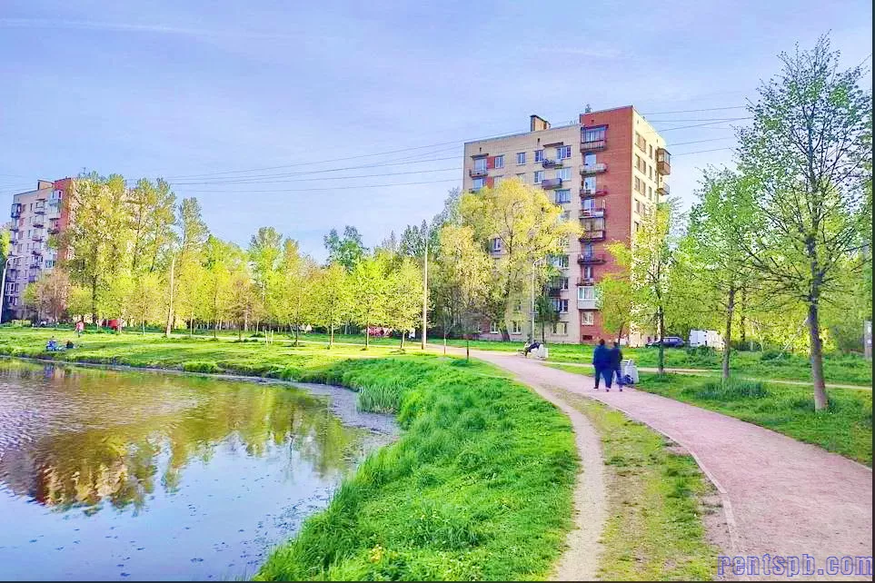 сдам квартиру у метро Проспект Ветеранов Лени Голикова 66