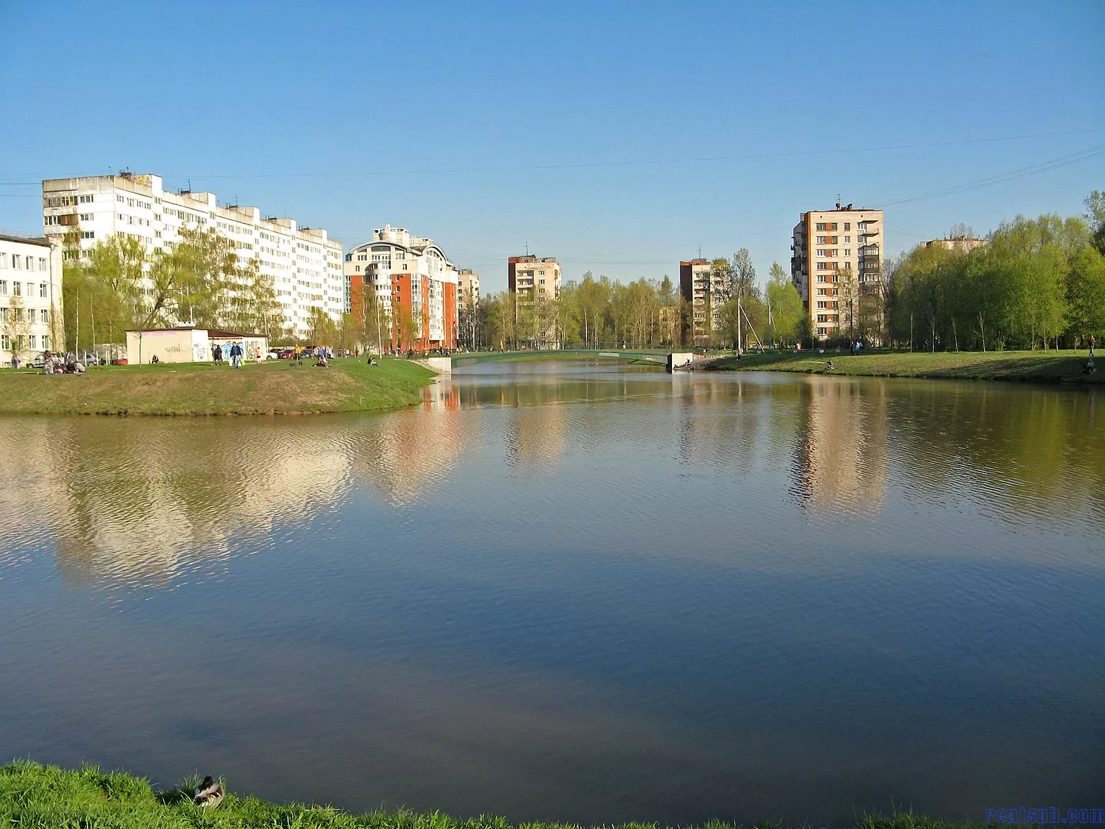 сдам квартиру у метро Проспект Ветеранов Лени Голикова 66
