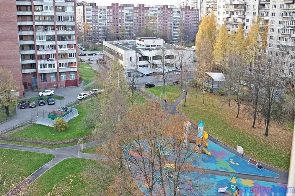 сдам квартиру 2 комнатную Передовиков 29 к 1