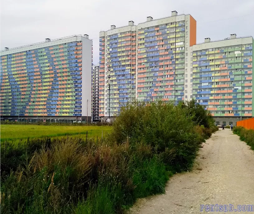 сдам ЖК Краски Лета, Мурино, Воронцовский бульва р 14 к 5