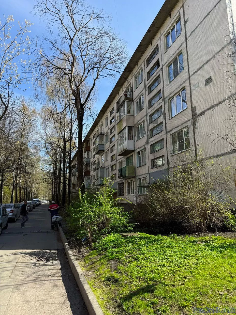 сдам квартиру Софьи Ковалевской 10 к 5 все новое1
