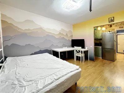 Сдам студия  метро Парнас Заречная 19 К 1