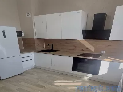 Старопетергофский проспект  д.14 Вид вода, в квартире все новое!
